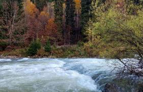 Mountain Apartment Rododendro - Foto 57