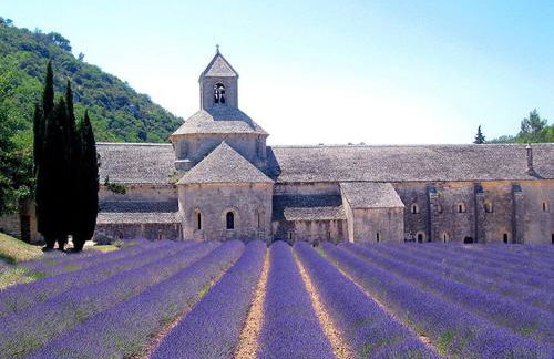 Les Terrasses - Gordes - Photo 74