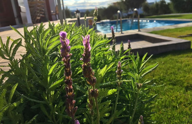 Villa in Arkadi With Pool Near the Sea - Photo 16