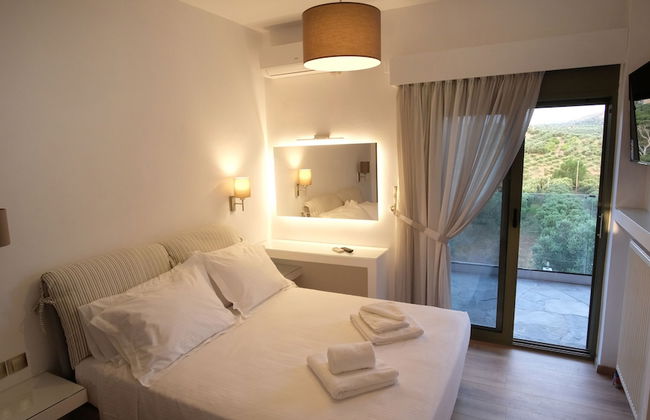 Terra Divina - Foto 12