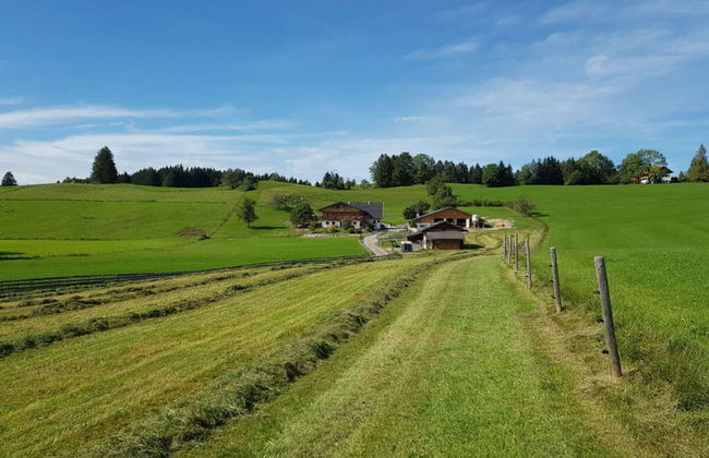 Holiday Apartment Almstuberl - Photo 31