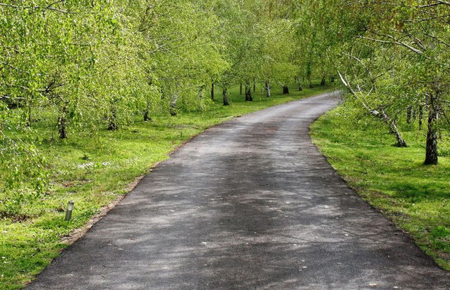 The Barn at Charlottes Hill - Photo 8