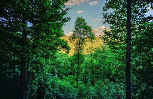 Carolina Charm - Foto 47