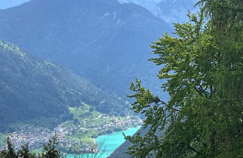 Ciasa Giulia - Photo 11