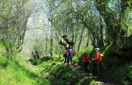 Casa rural El Abejaruco - Foto 66