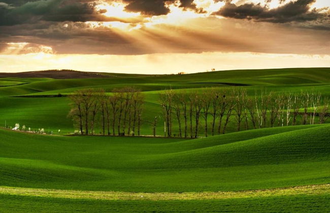 Relaxing Forest Escape With BBQ - Foto 31