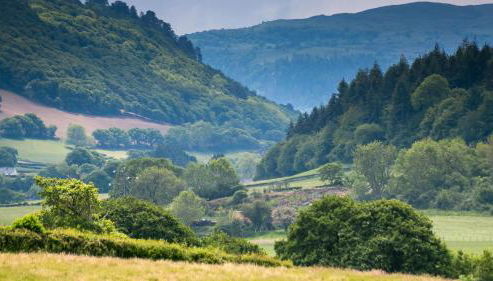 Bwthyn Ysgubor - Foto 4