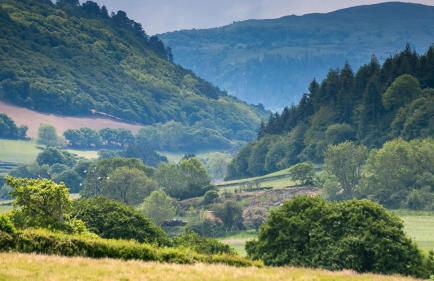 Bwthyn Ysgubor - Foto 4