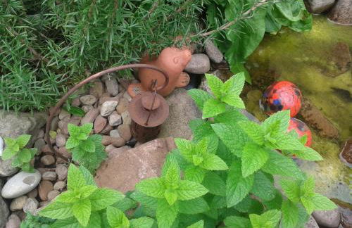 Ferienwohnungen wie im Süden Großostheim - Foto 13