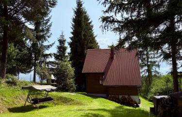 Domek pod Modrzewiem - Foto 27