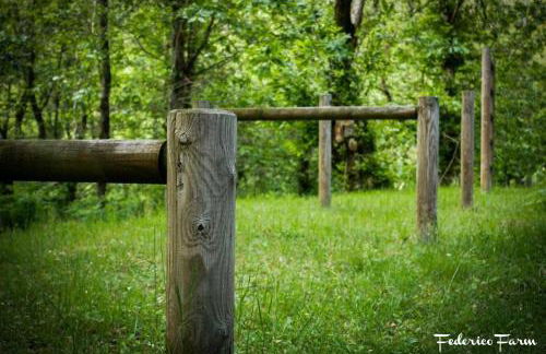 La Casa del Sarto - FedericoFarm - Foto 49