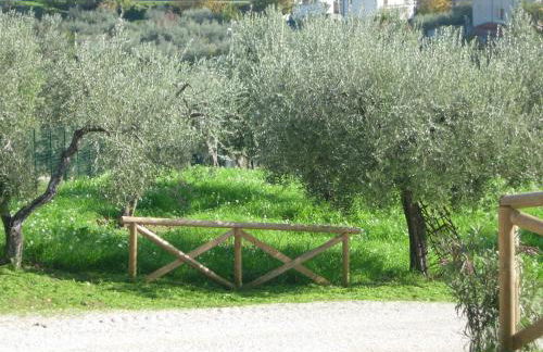 Angelucci Agriturismo con Camere e Agri Camping - Foto 28