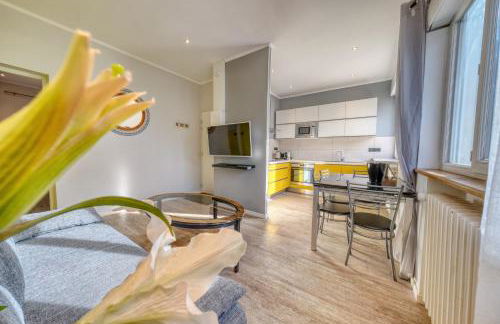 Suite & Spa - Jacuzzi - Sauna - Foto 65