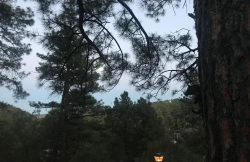 Gonzales Cozy Little Bear Cabin - Foto 35