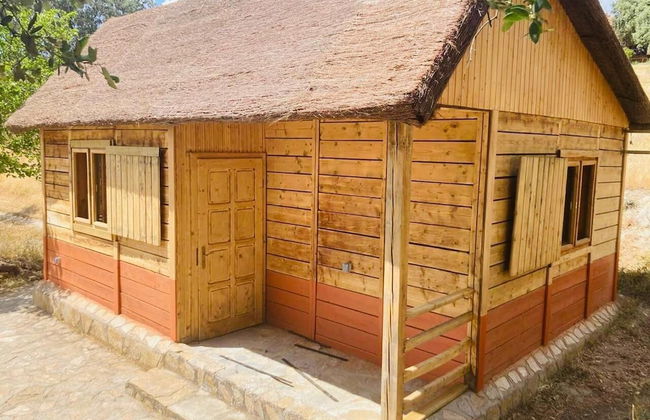 Hamlet's Friends - Foto 53