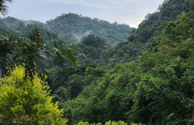 Oabkod khaoyai at forest khaoyai - Foto 40