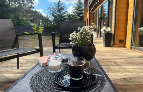 DOMKI Leśna Cisza jezioro Powidzkie dla 18 osób - 5D Apartments - Foto 60