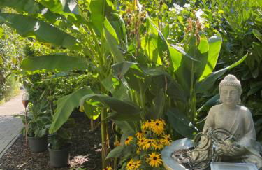 FeWo Michaela Köst - Foto 15