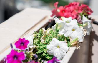 Kais 1st floor studio - Foto 11