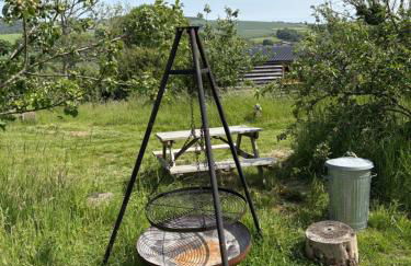 Robins Retreat - Orchard With hot tub - see Extras - Foto 22