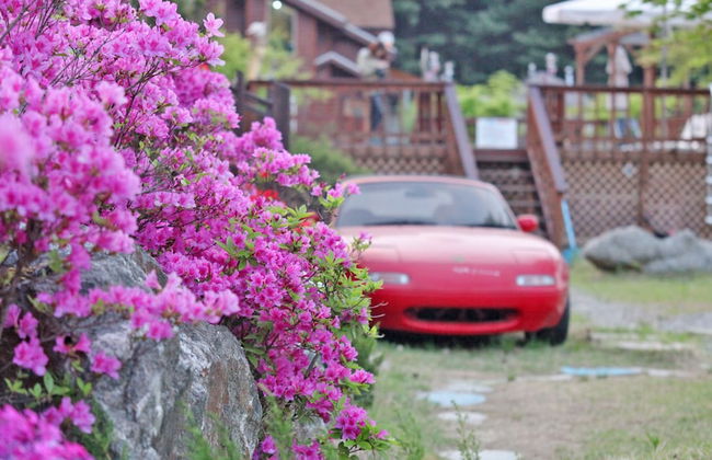 S & J Pension - Foto 57