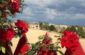 Charmant cottage à la campagne - Photo 8