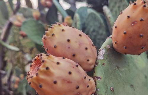 Dimora Virone Paradiso - Foto 64