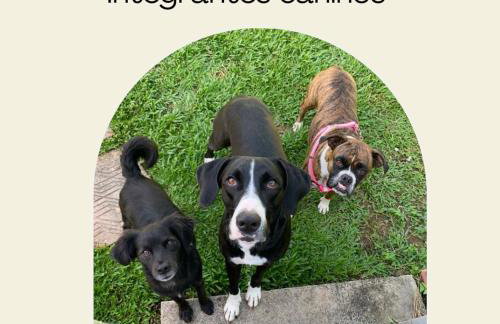 Aconchego do Harry Potter - Foto 3