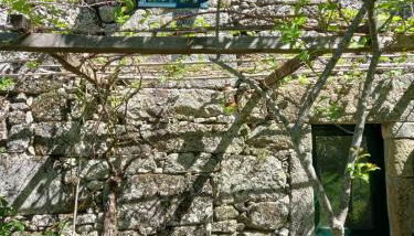 Horizontes Serranos - Photo 3