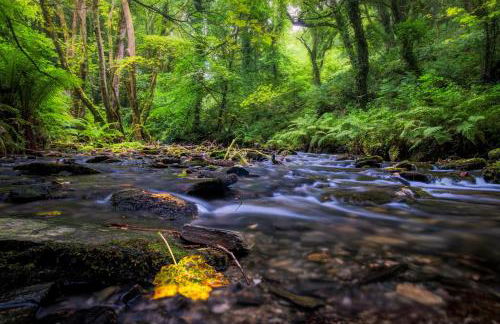 4 Bed in Trethevy oc-s33745 - Foto 13