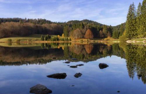 Les lunettes d'Oyo 01 - Foto 14