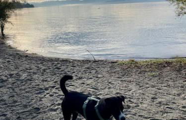 Apartment Chardonnay in Seenähe - Foto 31