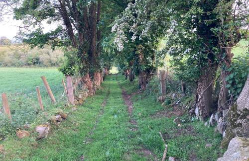 Hillhead Country Retreat - Photo 42