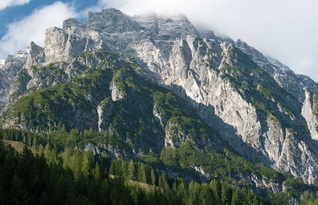 Animal -friendly Apartment in Leogang - Foto 24