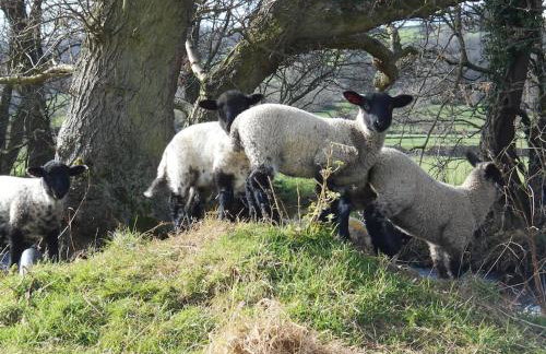 The Granary, Old Corn Mill, Yorkshire Dales - Foto 12