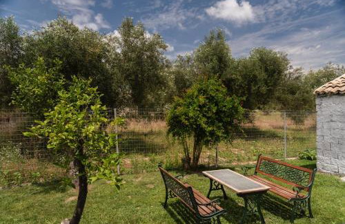 Dimitras Home - Foto 34