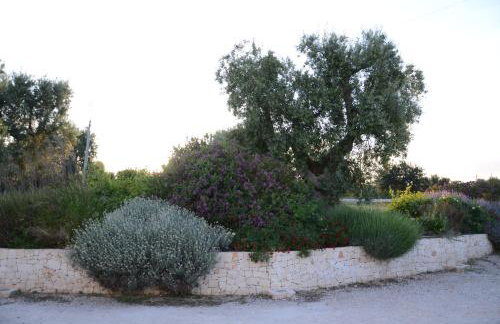 Agriturismo Tenuta Chianchizza - Foto 46
