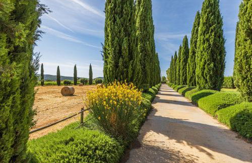 Il casale degli olivi - Foto 13