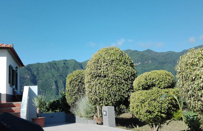 Grannys Farm - Foto 59