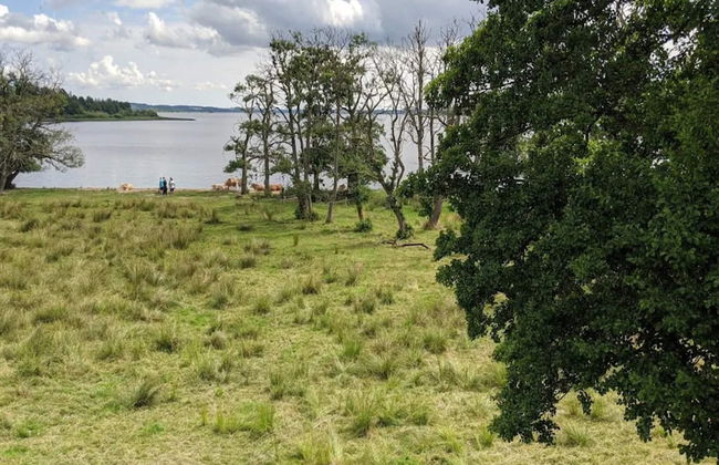 5 Person Holiday Home in Skanderborg-by Traum - Photo 40