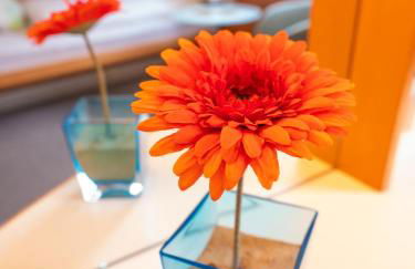 Haus Nickels - Foto 32