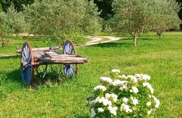 mas de karlotte - Photo 23