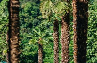 Sotto un cielo di Stelle - Photo 28