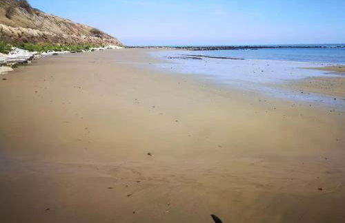 The Retreat - Photo 22