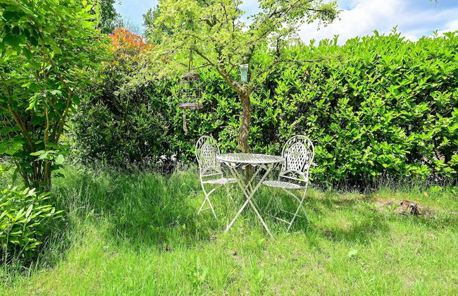 Holiday Home in Reutum With Pond and Trails - Photo 38