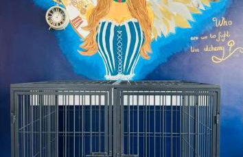 The Alchemy - Foto 23