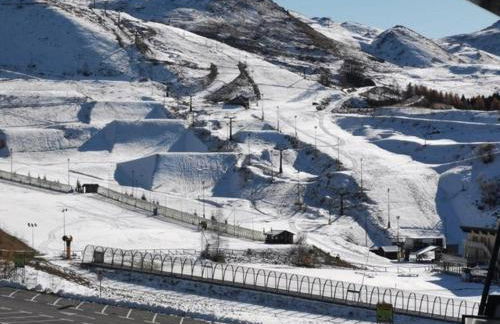 Rododendro - Foto 13