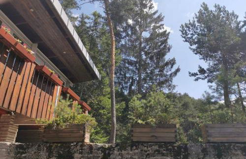 Chalet nel bosco - Photo 21