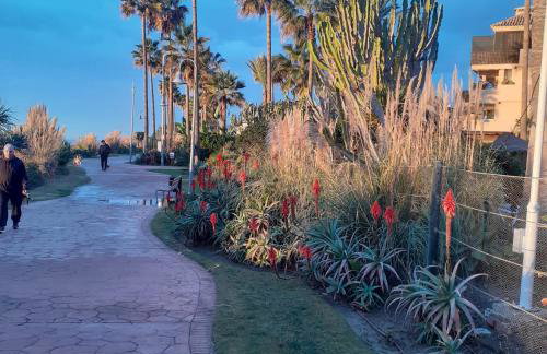 Relaxing beach side apartment in Costalita - Photo 4
