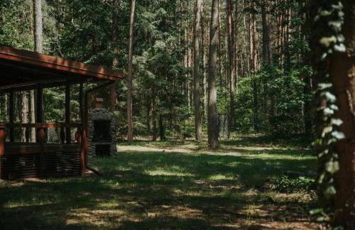 Forest Cabin - 50min od Warszawy - Foto 30